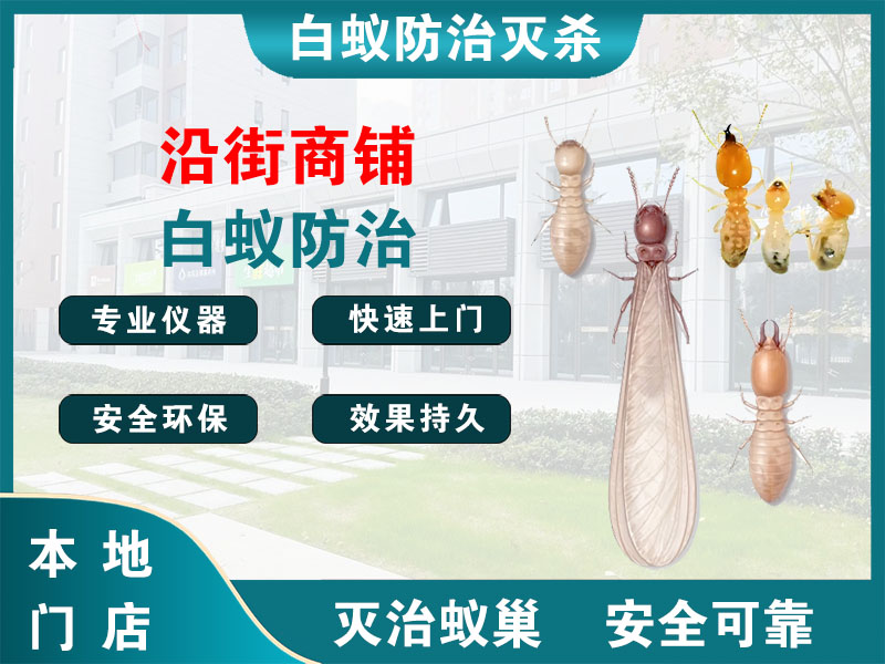 海曙沿街商铺白蚁防治