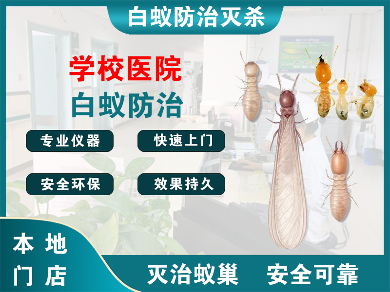 海曙学校医院白蚁防治