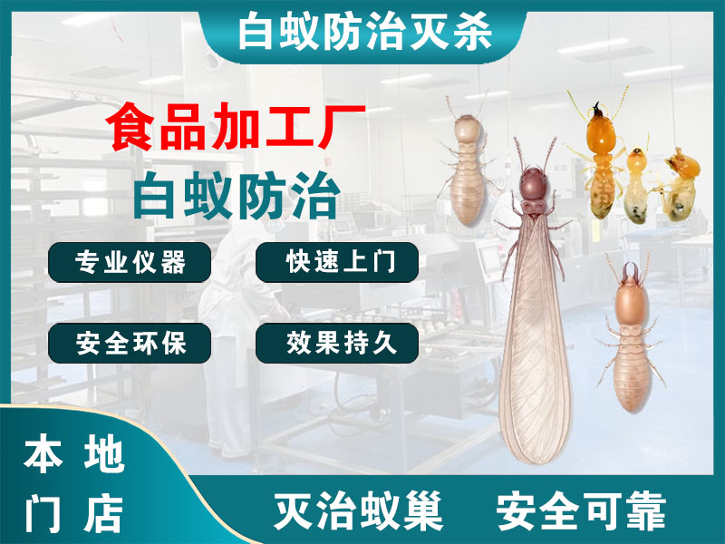 海曙食品加工厂白蚁防治