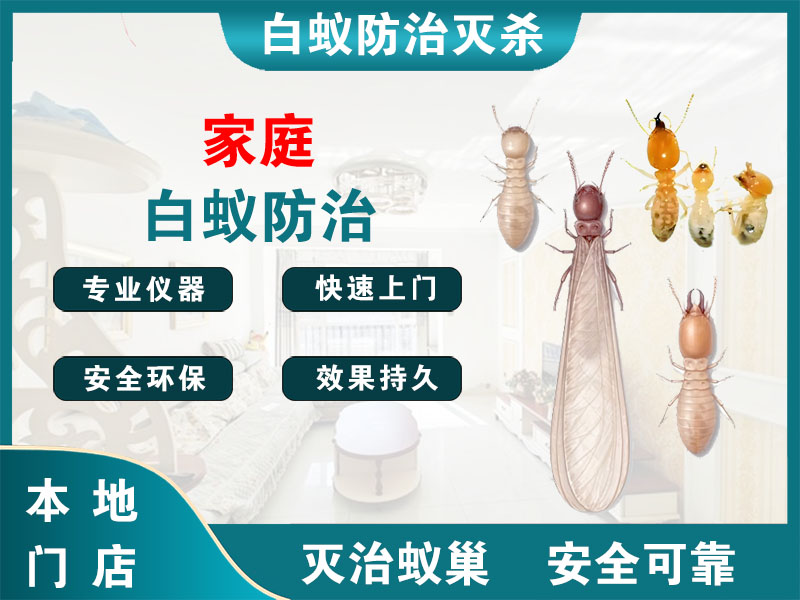 海曙家庭白蚁防治