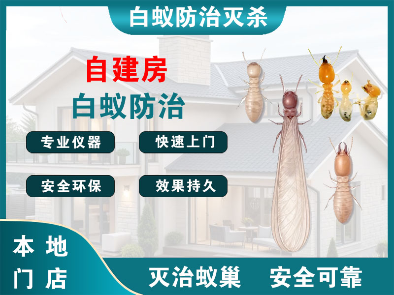 海曙自建房白蚁防治