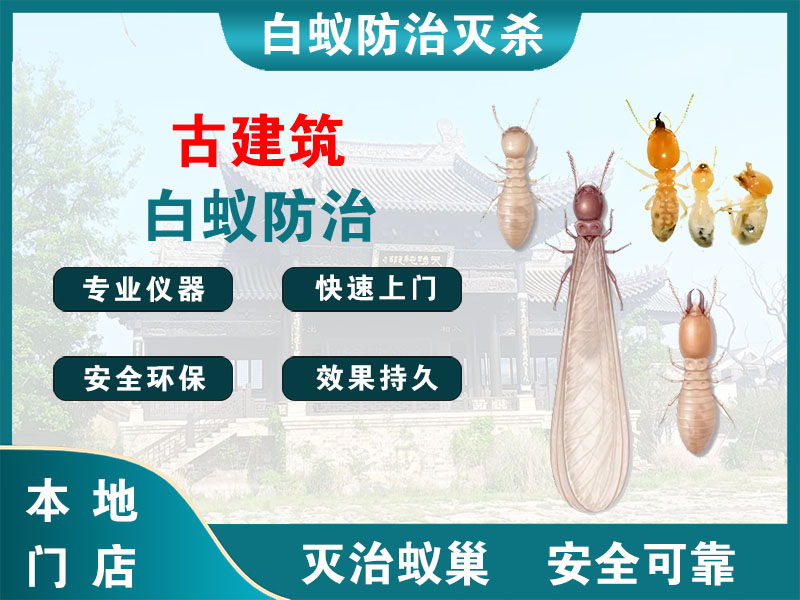 海曙古建筑白蚁防治