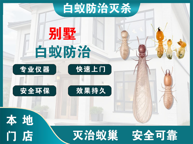 海曙别墅白蚁防治