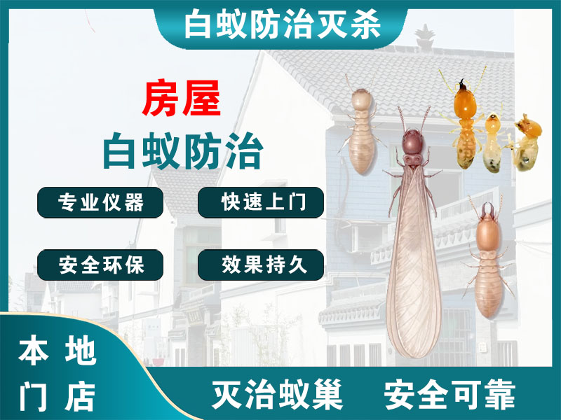海曙房屋白蚁防治